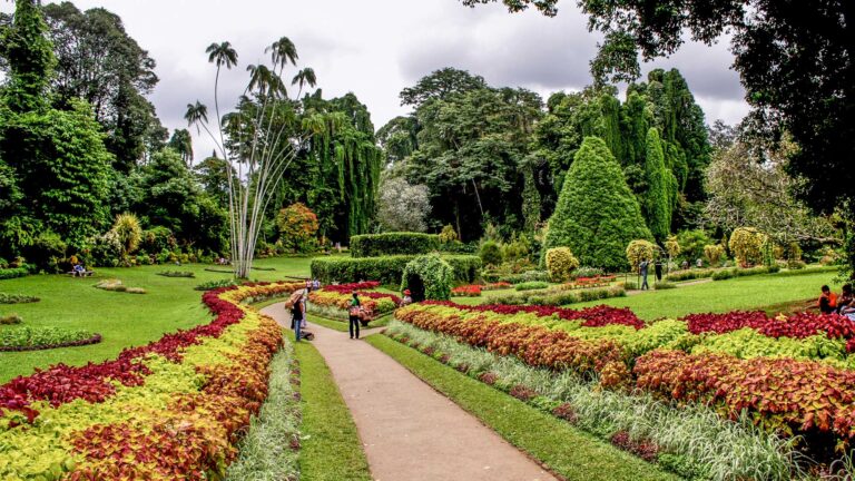 Peridenya-Gardens-kandy-sri-lanka1