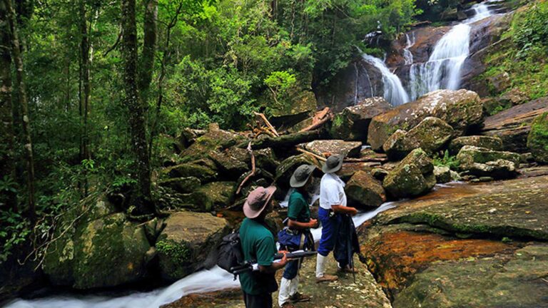 Water fall